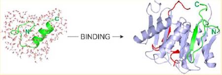 Bio Nmr2