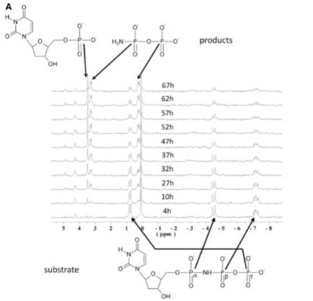 Bio Nmr5