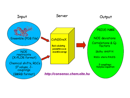 Consensx Scheme