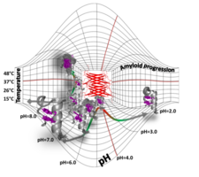 Amyloid Potential